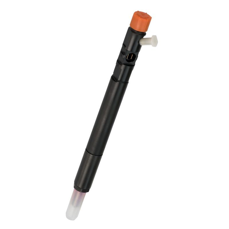 INJECTEUR DELPHI R04601D